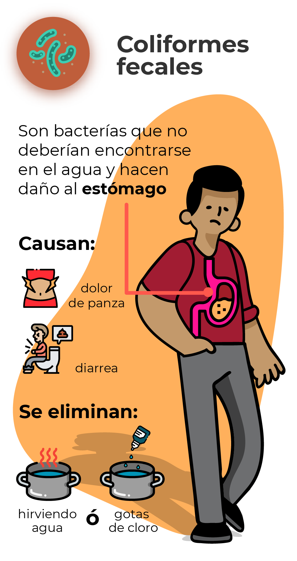 Bacterias coliformes fecales o termotolerantes
